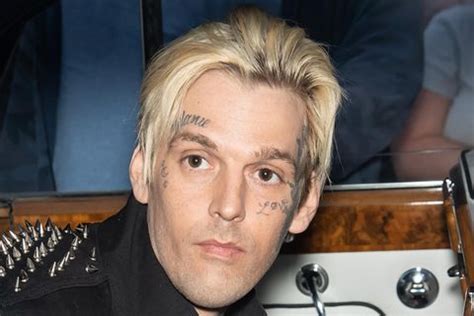 aaron carter vermögen|Aaron Carter Vermögen, Eltern, Herkunft, Größe